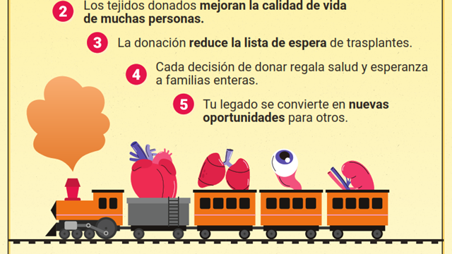 Donación de órganos y tejidos con fines de Trasplante